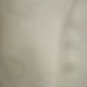 Meet your Posher, Penaloza